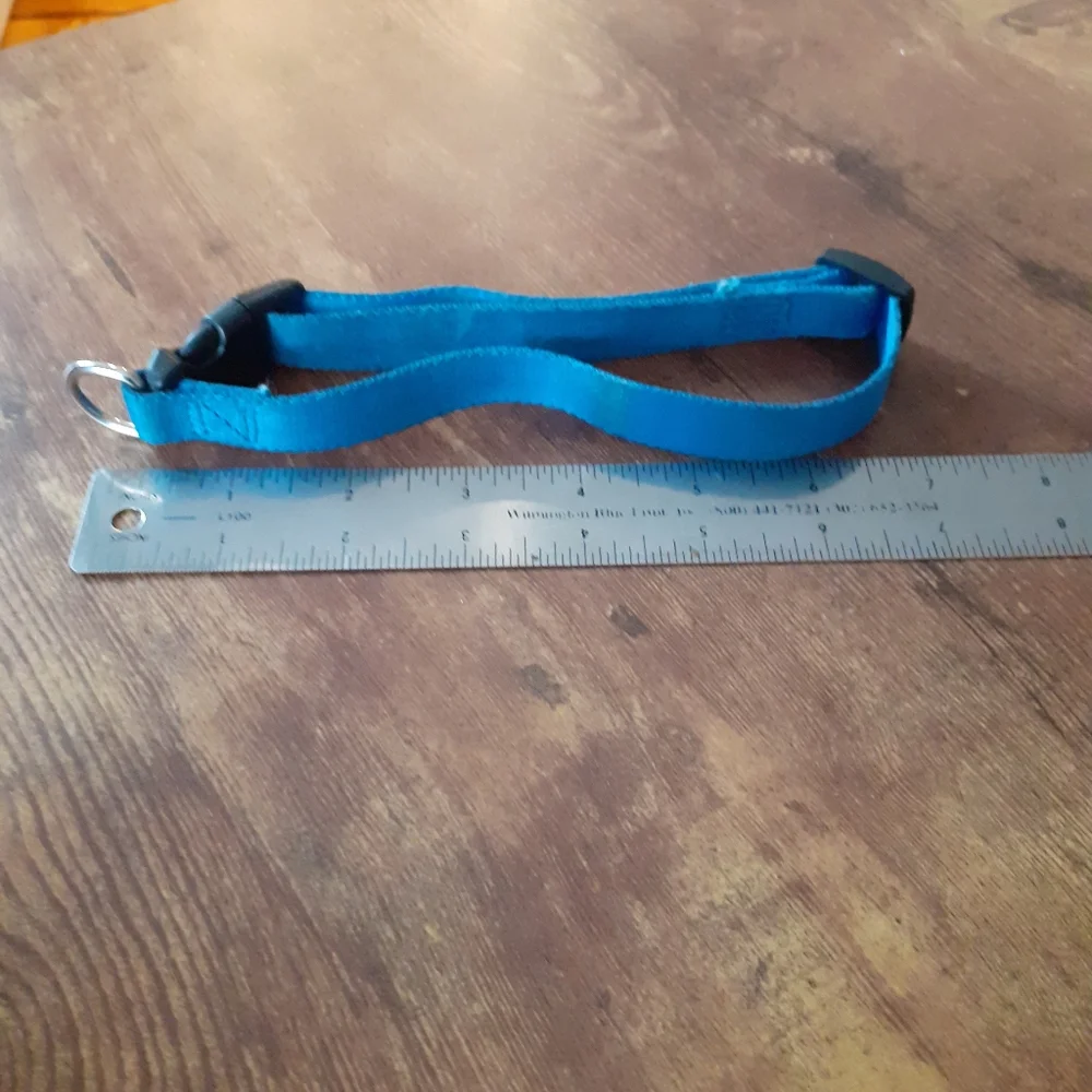 Blue dog collar